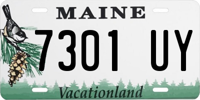 ME license plate 7301UY