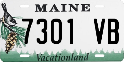 ME license plate 7301VB