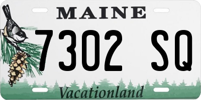 ME license plate 7302SQ