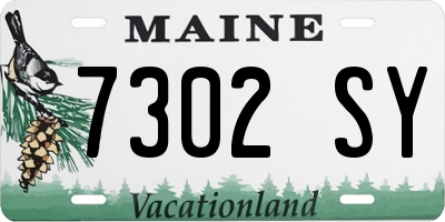 ME license plate 7302SY