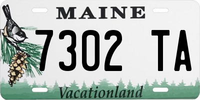 ME license plate 7302TA