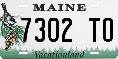 ME license plate 7302TO