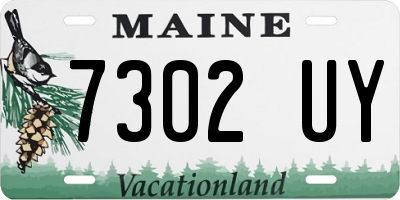 ME license plate 7302UY