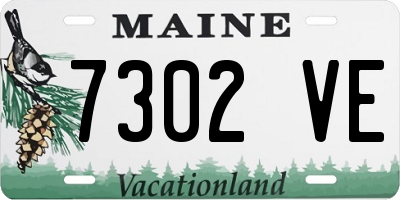 ME license plate 7302VE