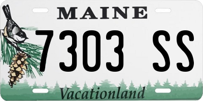ME license plate 7303SS