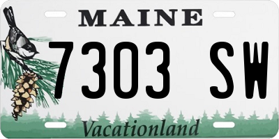 ME license plate 7303SW