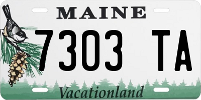 ME license plate 7303TA