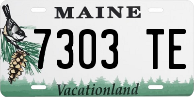 ME license plate 7303TE