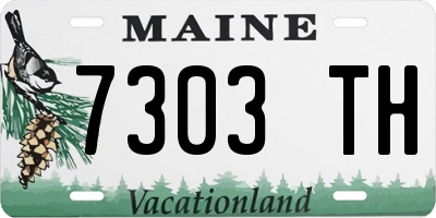 ME license plate 7303TH