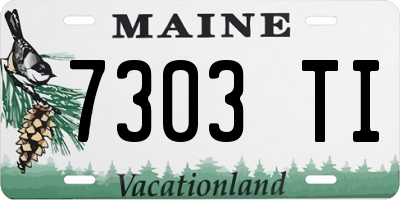 ME license plate 7303TI