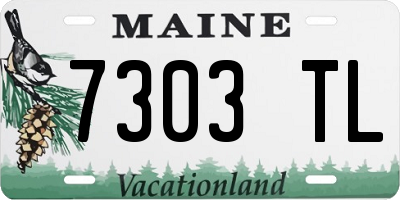 ME license plate 7303TL