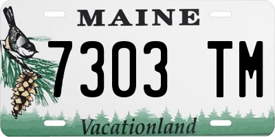 ME license plate 7303TM