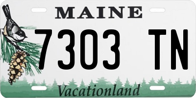 ME license plate 7303TN