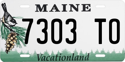 ME license plate 7303TO