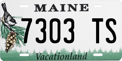 ME license plate 7303TS