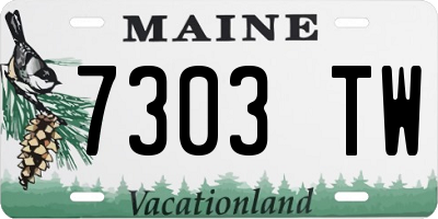ME license plate 7303TW