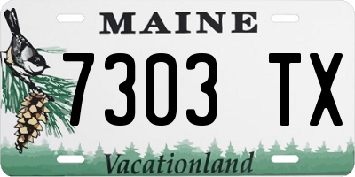 ME license plate 7303TX