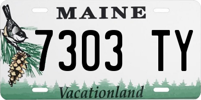 ME license plate 7303TY