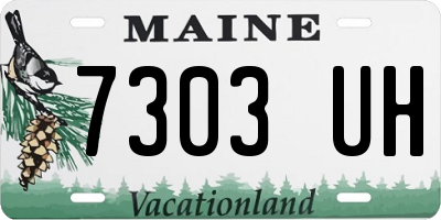 ME license plate 7303UH