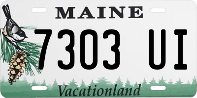 ME license plate 7303UI