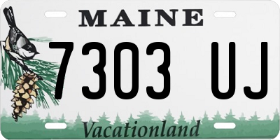 ME license plate 7303UJ