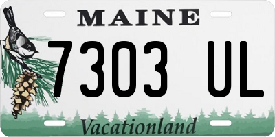 ME license plate 7303UL