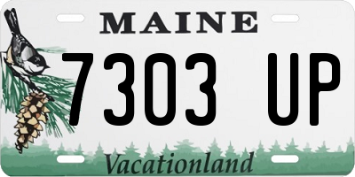 ME license plate 7303UP