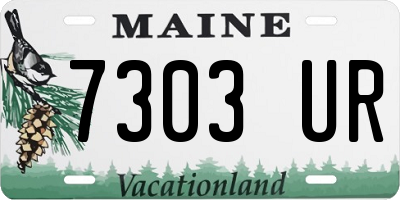 ME license plate 7303UR