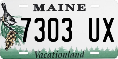 ME license plate 7303UX