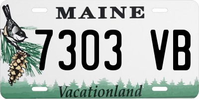 ME license plate 7303VB