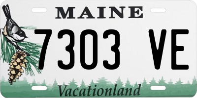 ME license plate 7303VE