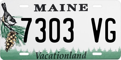 ME license plate 7303VG