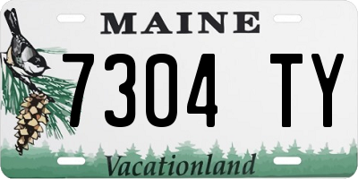 ME license plate 7304TY