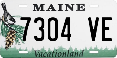 ME license plate 7304VE