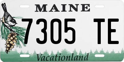 ME license plate 7305TE