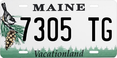 ME license plate 7305TG