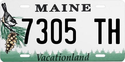 ME license plate 7305TH