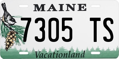 ME license plate 7305TS