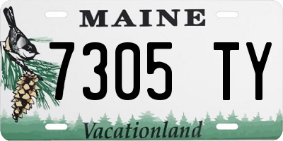 ME license plate 7305TY