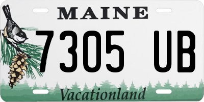 ME license plate 7305UB