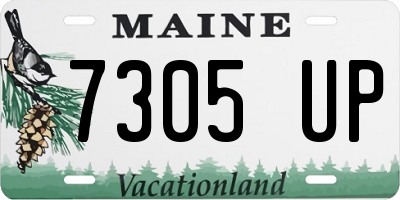 ME license plate 7305UP