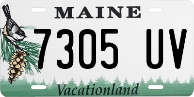 ME license plate 7305UV