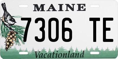 ME license plate 7306TE