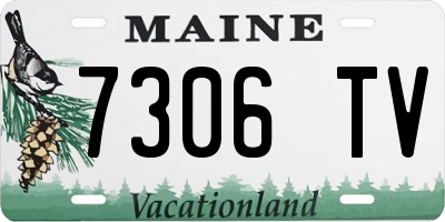 ME license plate 7306TV