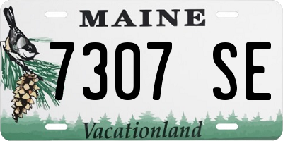 ME license plate 7307SE
