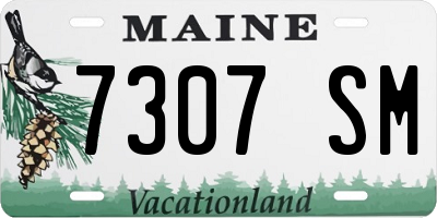 ME license plate 7307SM