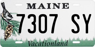 ME license plate 7307SY