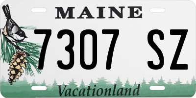 ME license plate 7307SZ