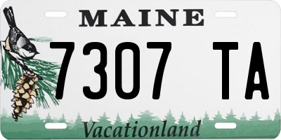 ME license plate 7307TA