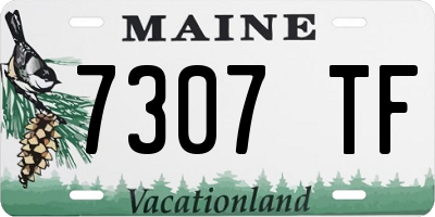 ME license plate 7307TF